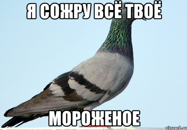 я сожру всё твоё мороженое, Мем 7778