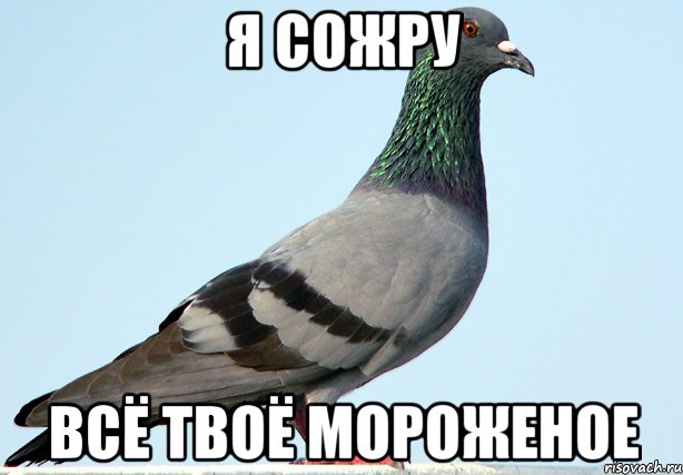я сожру всё твоё мороженое, Мем 7778