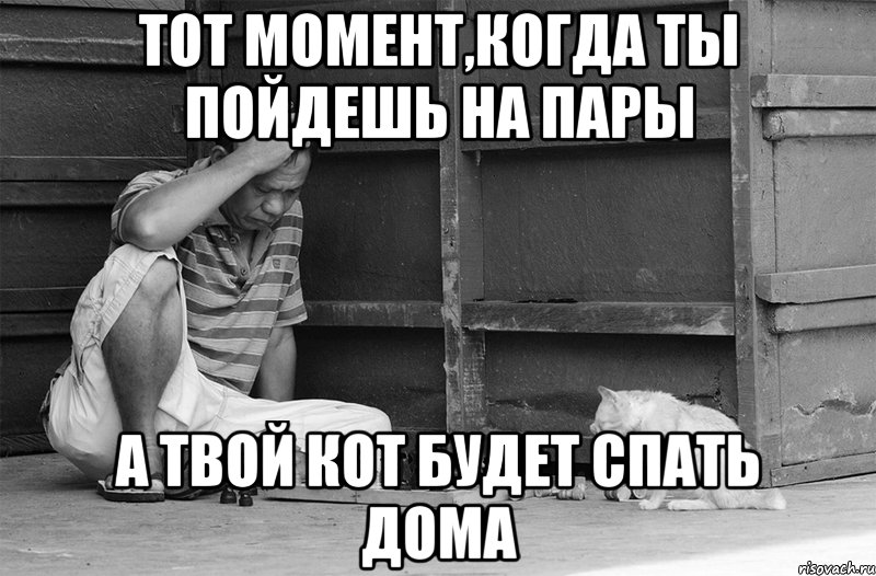 тот момент,когда ты пойдешь на пары а твой кот будет спать дома, Мем 9999999999999999