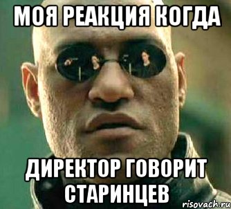 моя реакция когда директор говорит старинцев, Мем  а что если я скажу тебе