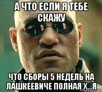 а что если я тебе скажу что сборы 5 недель на лашкеевиче полная х...я, Мем  а что если я скажу тебе