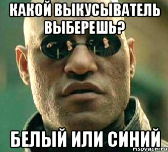 какой выкусыватель выберешь? белый или синий, Мем  а что если я скажу тебе