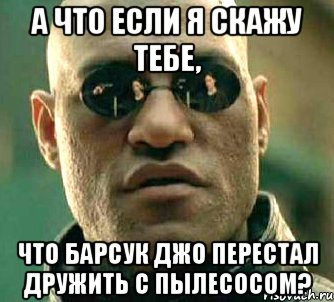 а что если я скажу тебе, что барсук джо перестал дружить с пылесосом?, Мем  а что если я скажу тебе