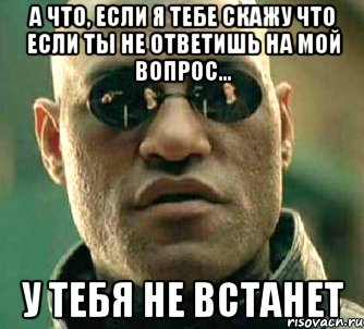 а что, если я тебе скажу что если ты не ответишь на мой вопрос... у тебя не встанет, Мем  а что если я скажу тебе