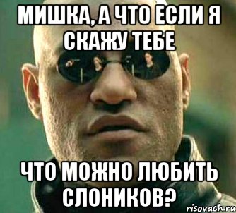 мишка, а что если я скажу тебе что можно любить слоников?, Мем  а что если я скажу тебе