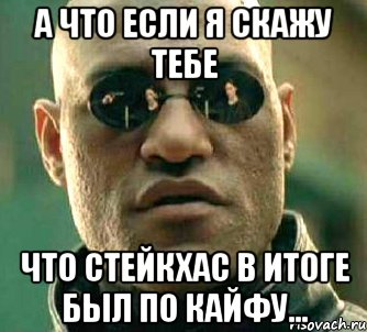 а что если я скажу тебе что стейкхас в итоге был по кайфу..., Мем  а что если я скажу тебе