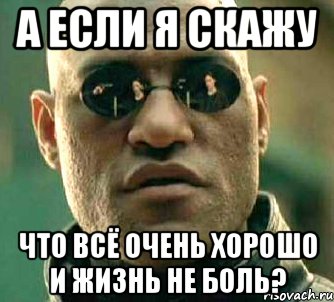 а если я скажу что всё очень хорошо и жизнь не боль?, Мем  а что если я скажу тебе