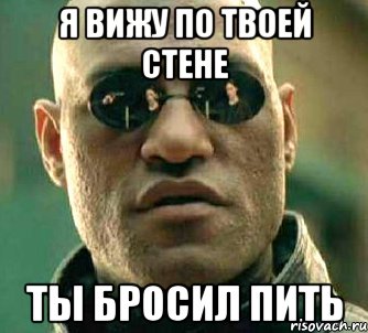 я вижу по твоей стене ты бросил пить, Мем  а что если я скажу тебе