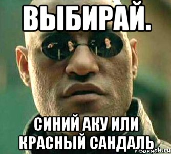 выбирай. синий аку или красный сандаль, Мем  а что если я скажу тебе