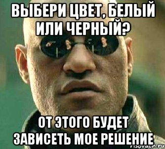 выбери цвет, белый или черный? от этого будет зависеть мое решение, Мем  а что если я скажу тебе