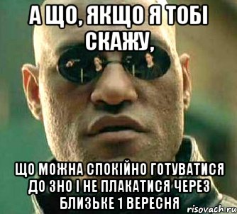 а що, якщо я тобі скажу, що можна спокійно готуватися до зно і не плакатися через близьке 1 вересня, Мем  а что если я скажу тебе