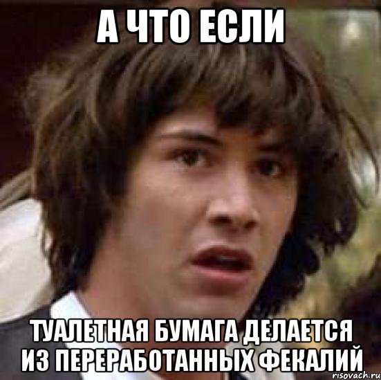 а что если туалетная бумага делается из переработанных фекалий, Мем А что если (Киану Ривз)