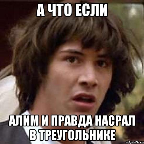 а что если алим и правда насрал в треугольнике, Мем А что если (Киану Ривз)