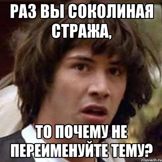 раз вы соколиная стража, то почему не переименуйте тему?, Мем А что если (Киану Ривз)