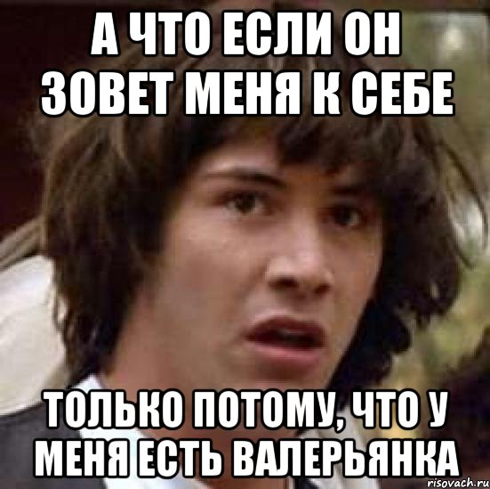 а что если он зовет меня к себе только потому, что у меня есть валерьянка, Мем А что если (Киану Ривз)