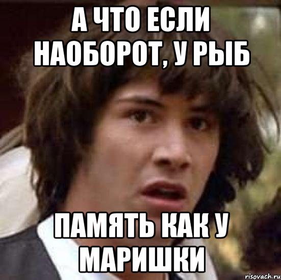 а что если наоборот, у рыб память как у маришки, Мем А что если (Киану Ривз)