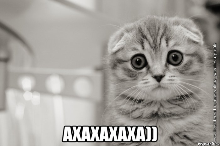  ахахахаха)), Мем А я Люблю Алису