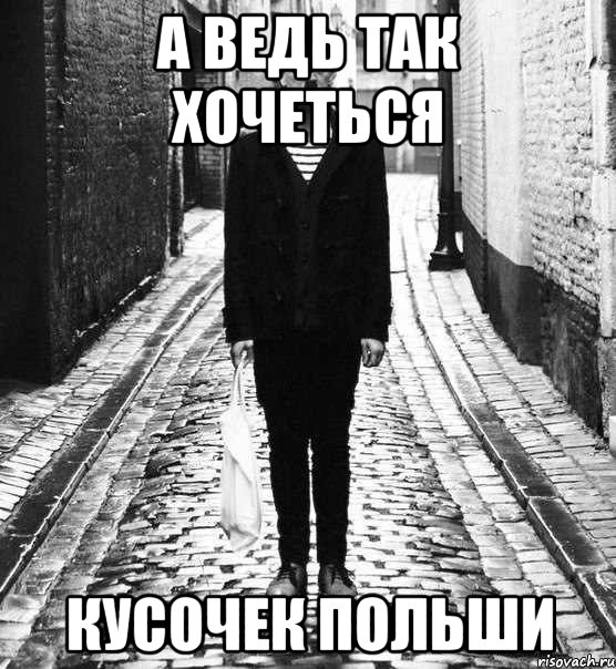 а ведь так хочеться кусочек польши, Мем а я стою и скучаю