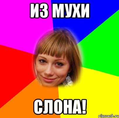 из мухи слона!, Мем а