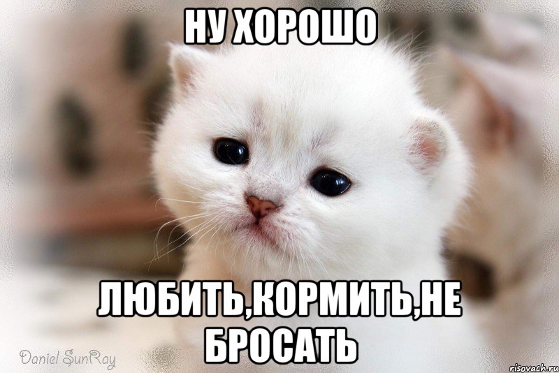 ну хорошо любить,кормить,не бросать
