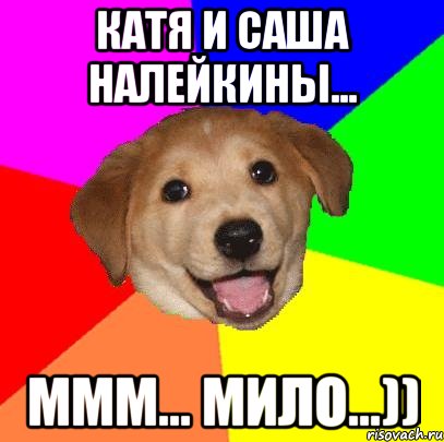 катя и саша налейкины... ммм... мило...)), Мем Advice Dog