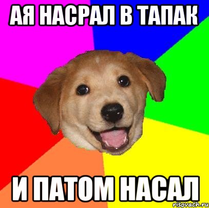 ая насрал в тапак и патом насал, Мем Advice Dog