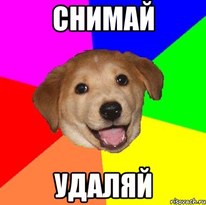 снимай удаляй, Мем Advice Dog