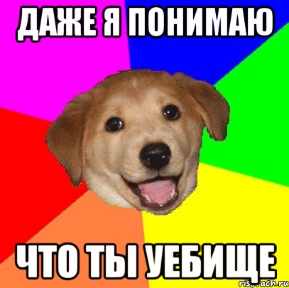 даже я понимаю что ты уебище, Мем Advice Dog