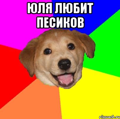 юля любит песиков , Мем Advice Dog