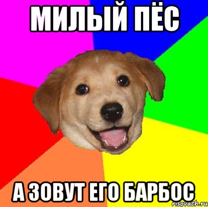 милый пёс а зовут его барбос, Мем Advice Dog