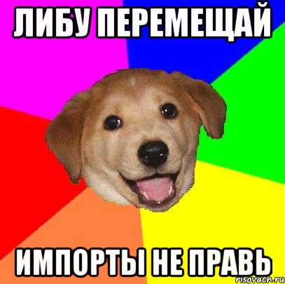 либу перемещай импорты не правь, Мем Advice Dog