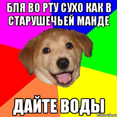 бля во рту сухо как в старушечьей манде дайте воды, Мем Advice Dog