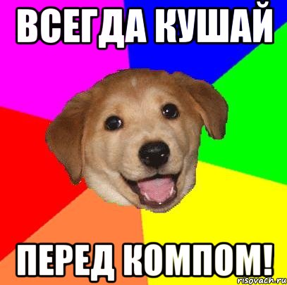 всегда кушай перед компом!, Мем Advice Dog