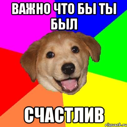 важно что бы ты был счастлив, Мем Advice Dog