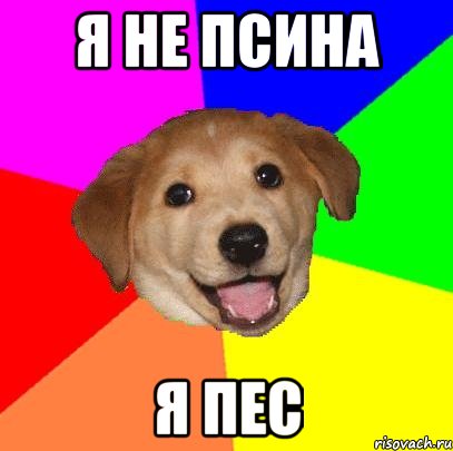 я не псина я пес, Мем Advice Dog