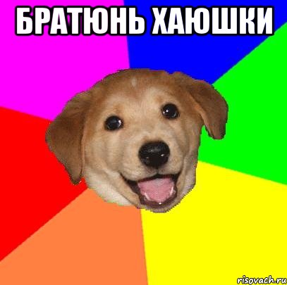 братюнь хаюшки , Мем Advice Dog