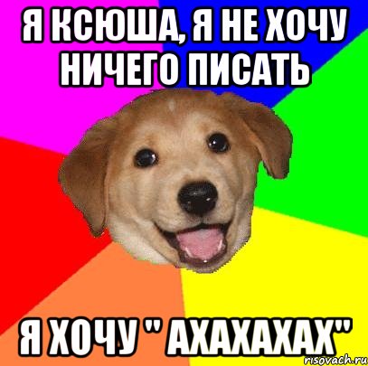 я ксюша, я не хочу ничего писать я хочу " ахахахах", Мем Advice Dog