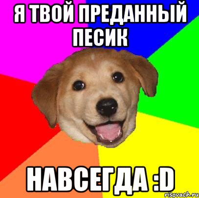 я твой преданный песик навсегда :d, Мем Advice Dog