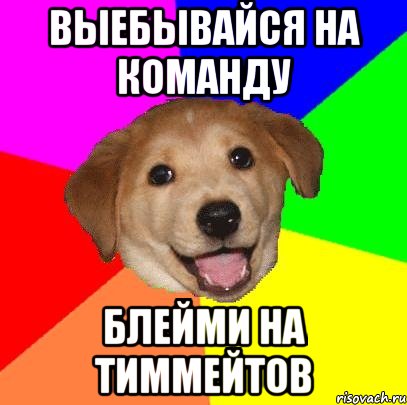 выебывайся на команду блейми на тиммейтов, Мем Advice Dog