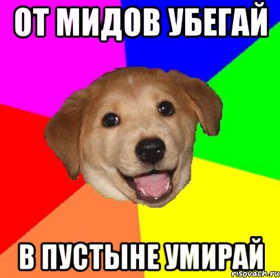 от мидов убегай в пустыне умирай, Мем Advice Dog