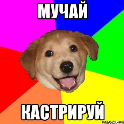 мучай кастрируй, Мем Advice Dog