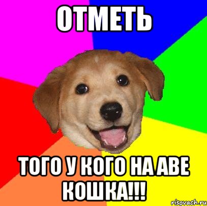 отметь того у кого на аве кошка!!!, Мем Advice Dog