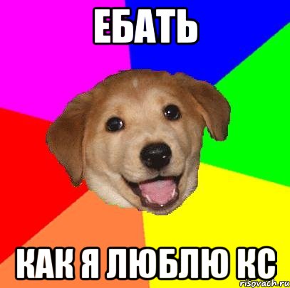 ебать как я люблю кс, Мем Advice Dog