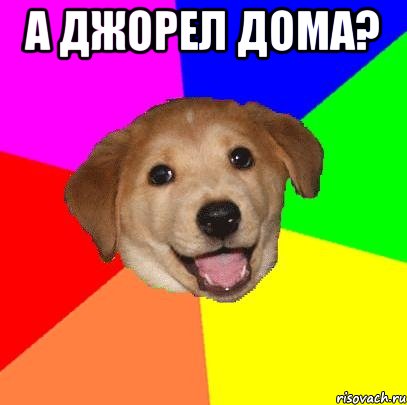 а джорел дома? , Мем Advice Dog