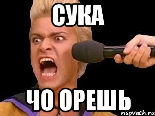 сука чо орешь, Мем Адвокат