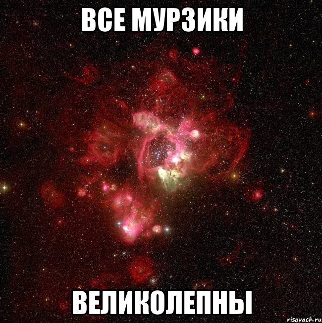 все мурзики великолепны, Мем Алины ахуенные