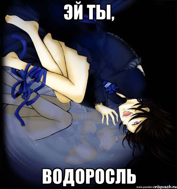эй ты, водоросль, Мем Алиса