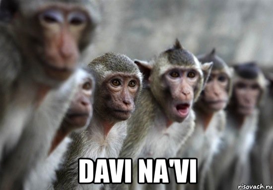  davi na'vi, Мем анжи