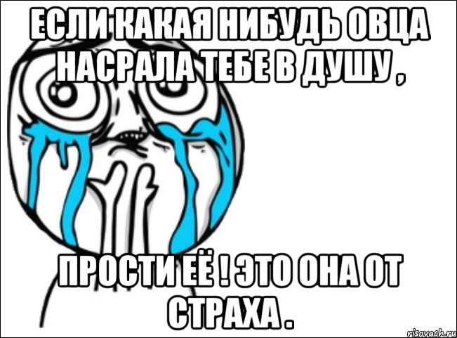 если какая нибудь овца насрала тебе в душу , прости её ! это она от страха ., Мем Это самый