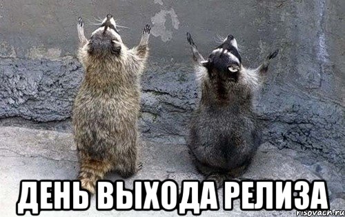  день выхода релиза, Мем авцц